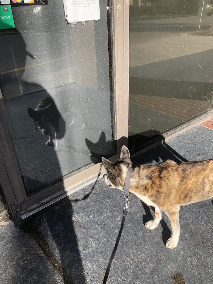 Daniels Parkway Animal Hospital 12