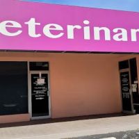 Associates in Veterinary Medicine and Surgery ico