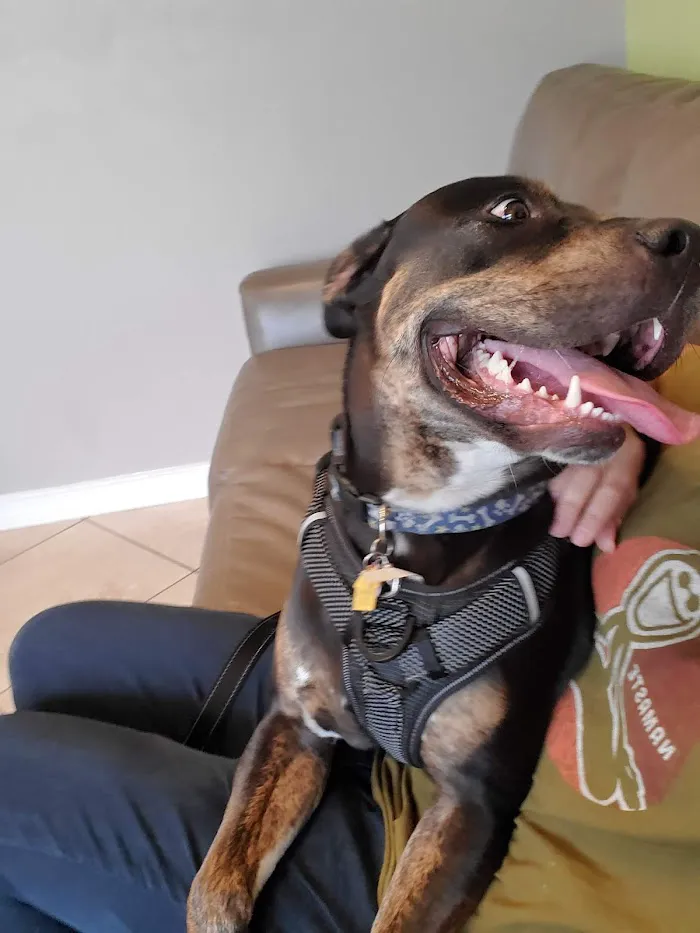 East West Veterinary Care Center 12
