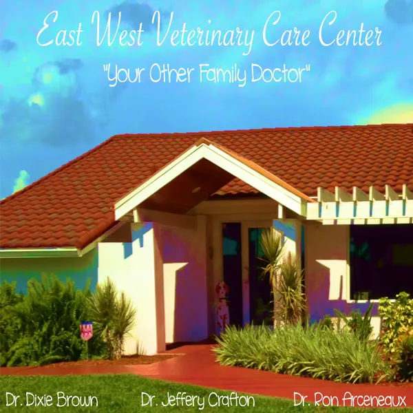 East West Veterinary Care Center 12