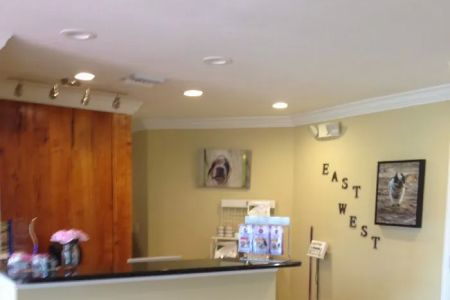 East West Veterinary Care Center