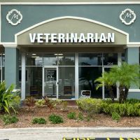 Fiddlesticks Veterinary Hospital ico