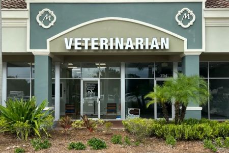 Fiddlesticks Veterinary Hospital