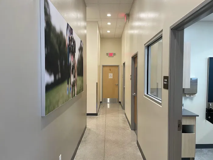 Fort Myers Animal Medical Center 12