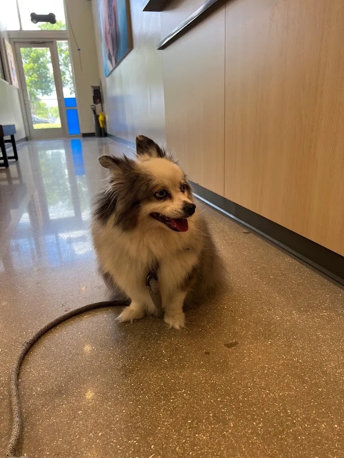 Fort Myers Animal Medical Center 12