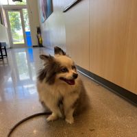 Fort Myers Animal Medical Center ico