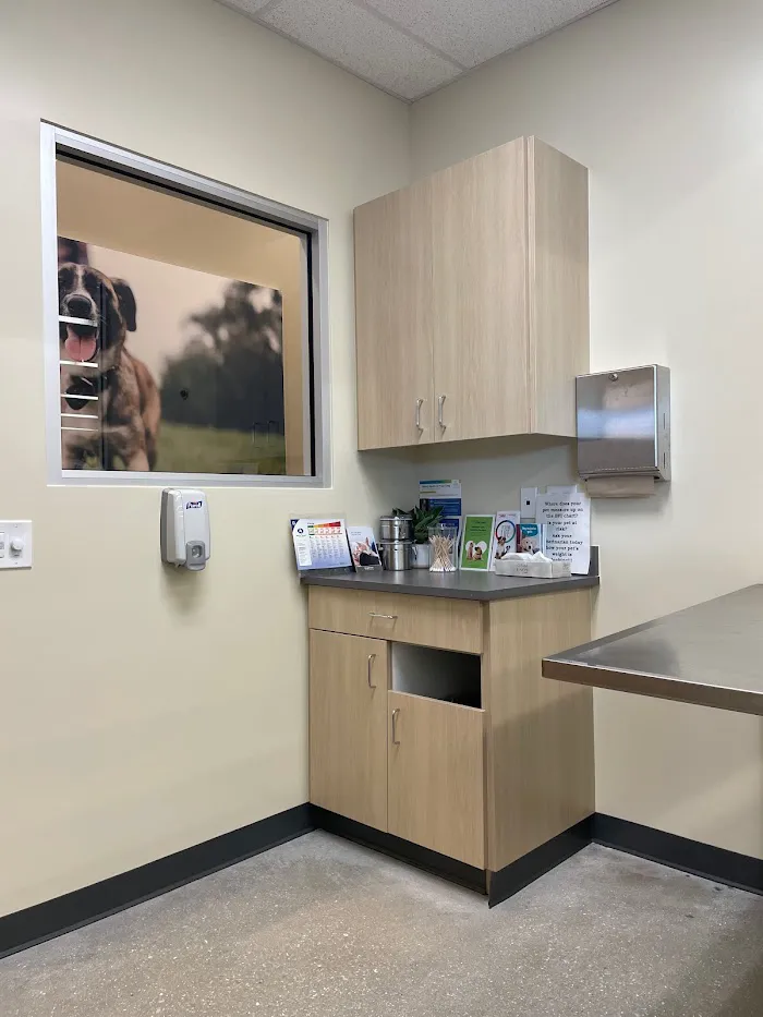 Fort Myers Animal Medical Center 12