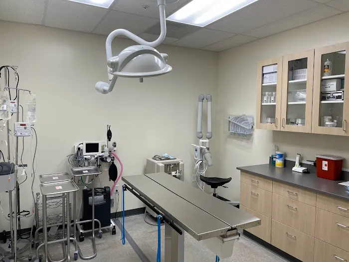 Fort Myers Animal Medical Center 12