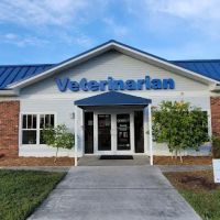 Veterinarian ico
