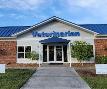 Veterinarian