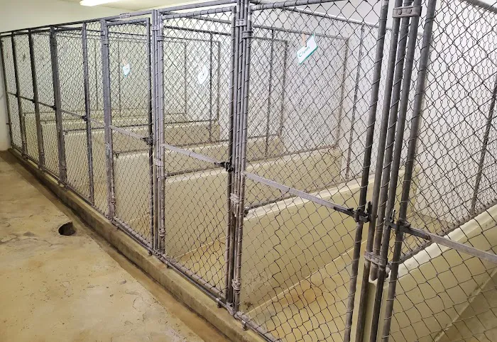 Fort Myers Veterinary Hospital 12