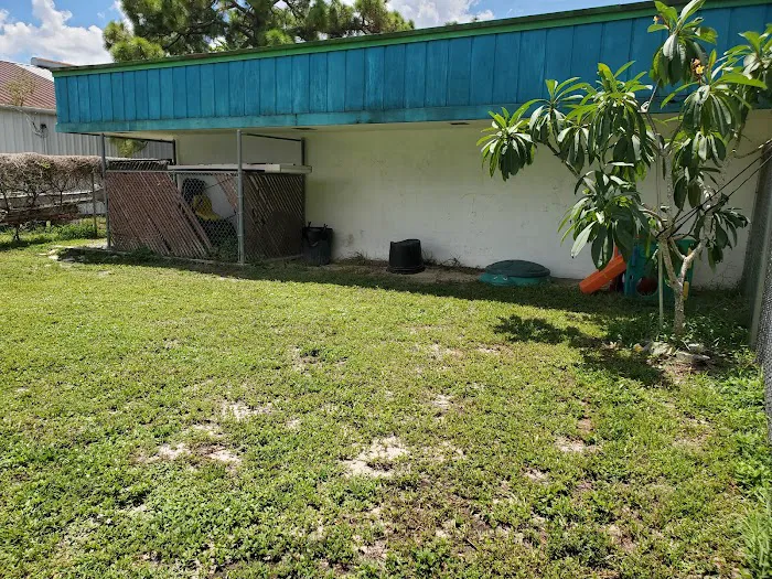 Fort Myers Veterinary Hospital 12