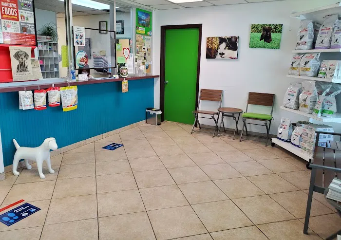 Fort Myers Veterinary Hospital 12