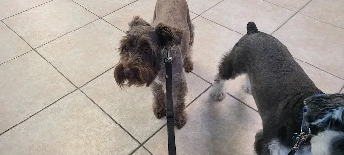 Fort Myers Veterinary Hospital 12