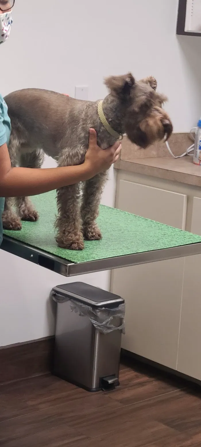 Fort Myers Veterinary Hospital 12