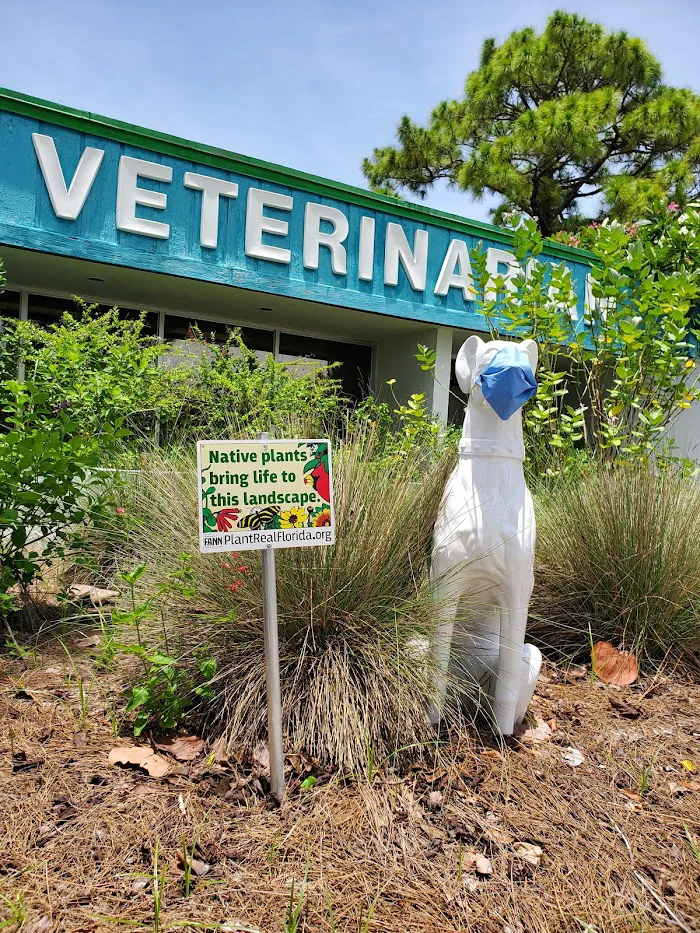 Fort Myers Veterinary Hospital 12