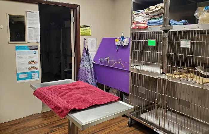 Fort Myers Veterinary Hospital 12