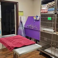 Fort Myers Veterinary Hospital ico