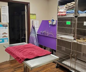Fort Myers Veterinary Hospital