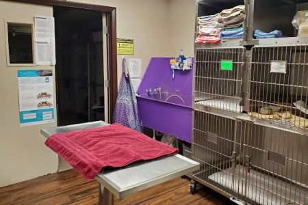 Fort Myers Veterinary Hospital