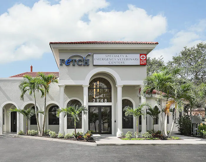 Fetch Specialty & Emergency Veterinary Centers - Fort Myers, FL 12