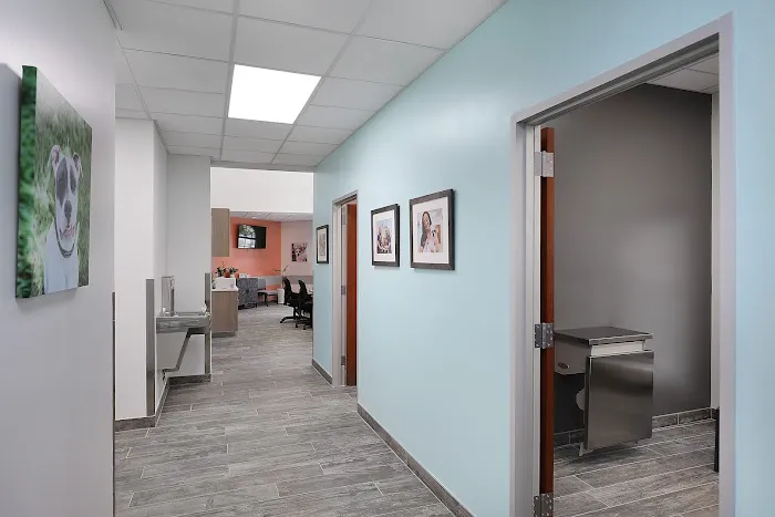 Fetch Specialty & Emergency Veterinary Centers - Fort Myers, FL 12