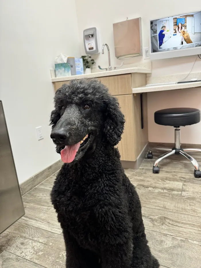 Fetch Specialty & Emergency Veterinary Centers - Fort Myers, FL 12