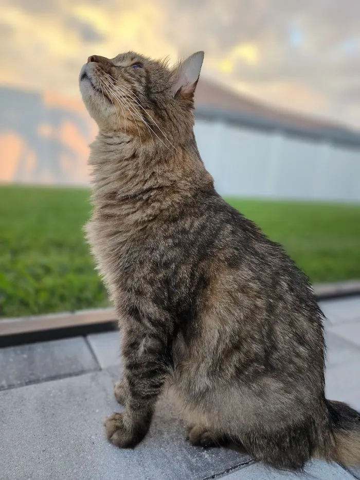 Fetch Specialty & Emergency Veterinary Centers - Fort Myers, FL 12