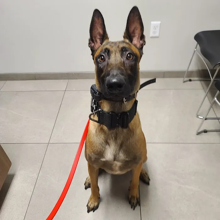 Viscaya Prado Veterinary Hospital Main 1141 Country Club 12