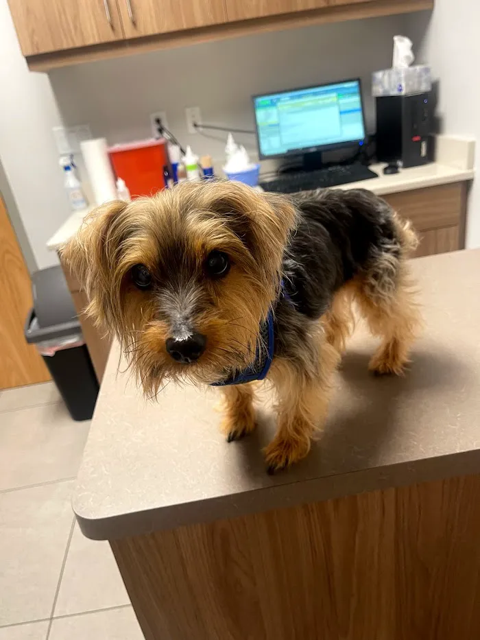 Viscaya Prado Veterinary Hospital Main 1141 Country Club 12