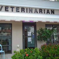 Olde Naples Animal Wellness Center ico
