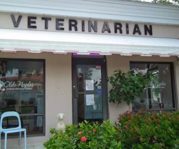 Olde Naples Animal Wellness Center