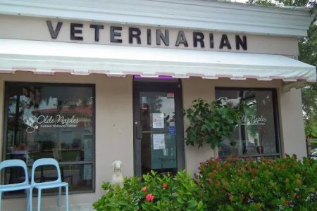 Olde Naples Animal Wellness Center