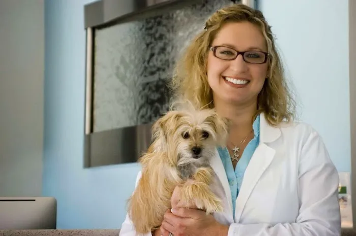Olde Naples Animal Wellness Center 12