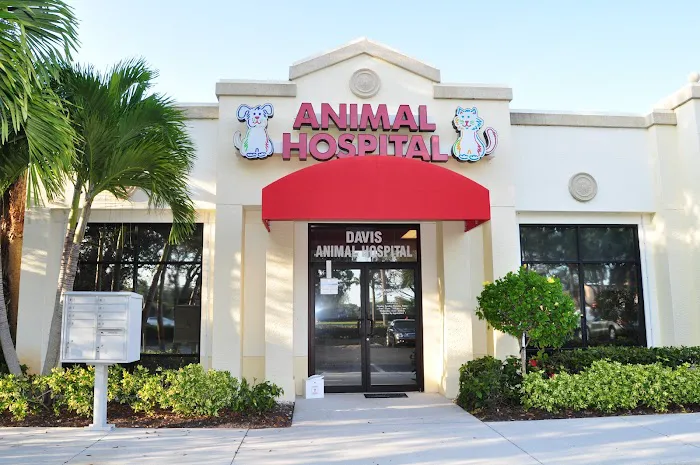 Davis Animal Hospital 12