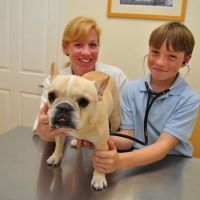 Davis Animal Hospital ico