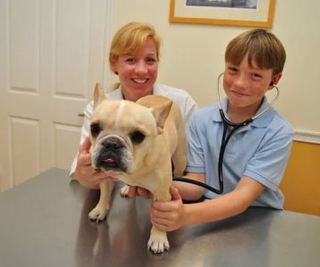 Davis Animal Hospital