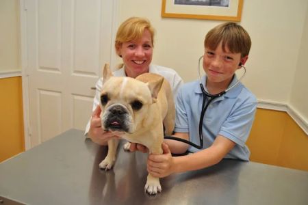 Davis Animal Hospital