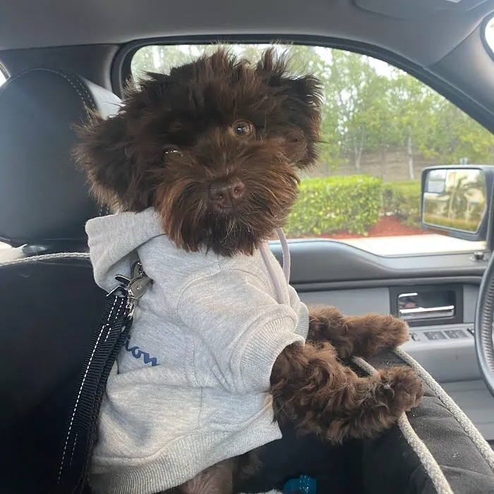 Davis Animal Hospital 12