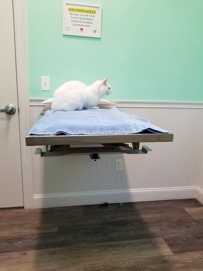 Indian Creek Pet Hospital 12