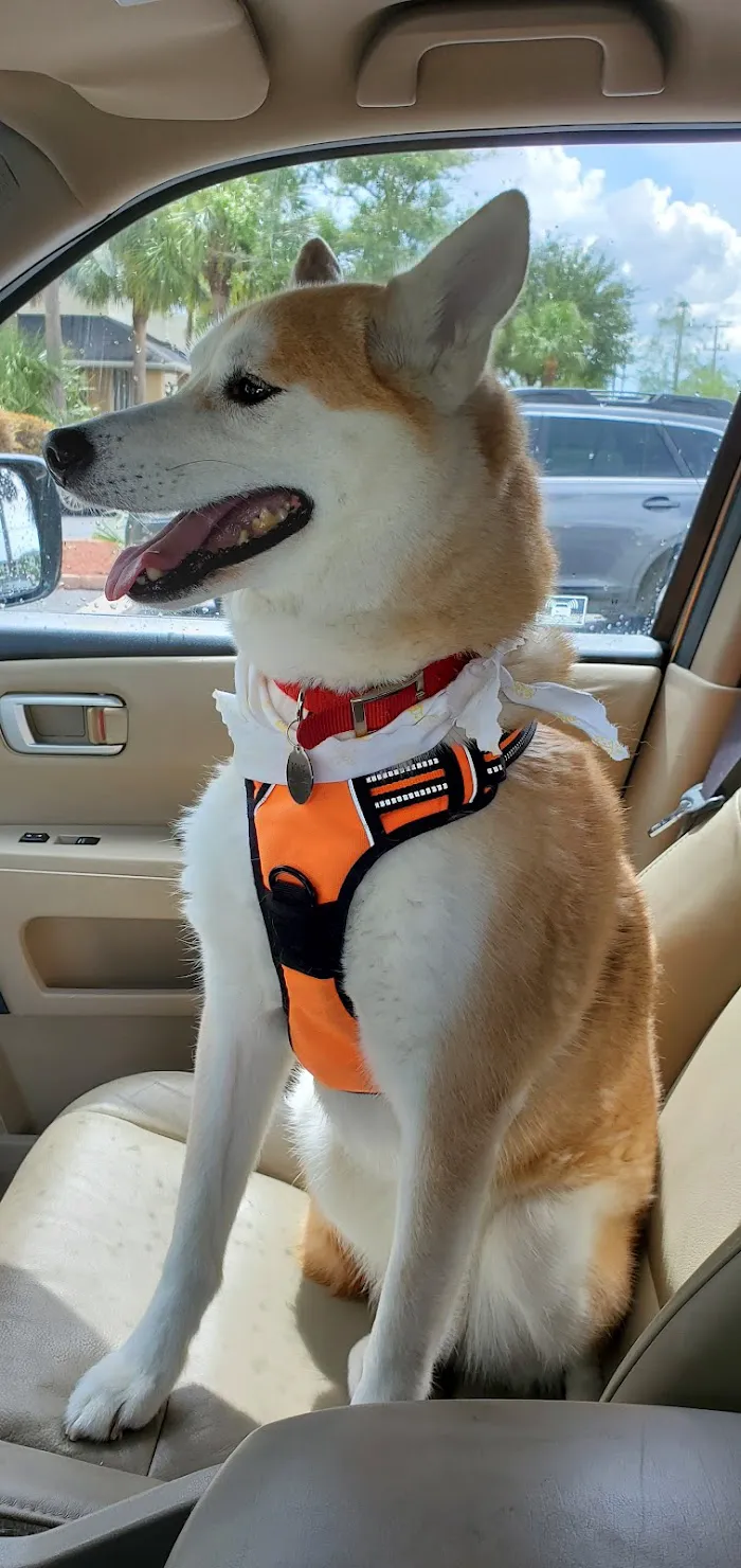 Indian Creek Pet Hospital 12