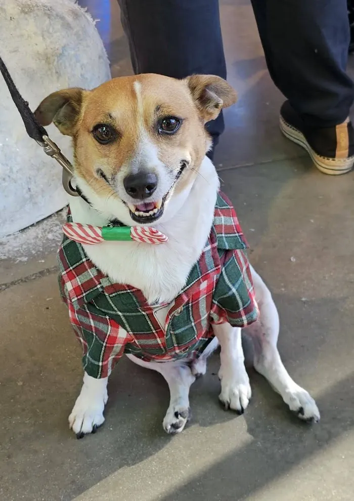 Indian Creek Pet Hospital 12