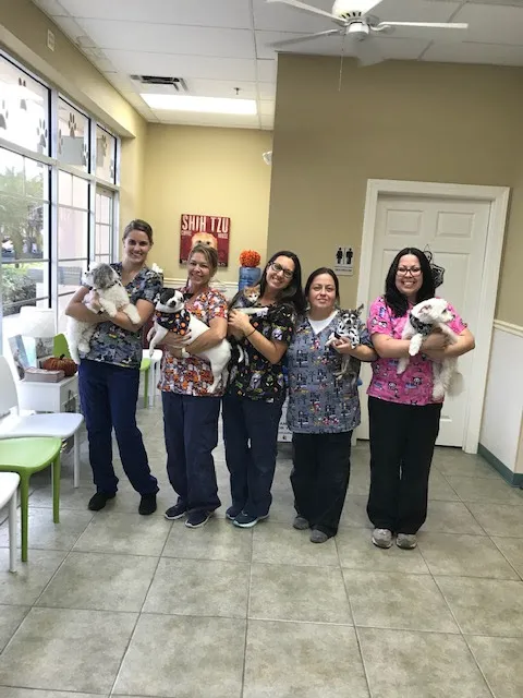 Summerlin Animal Hospital 3