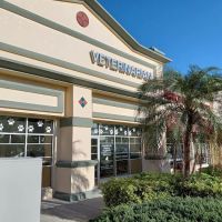 Summerlin Animal Hospital ico