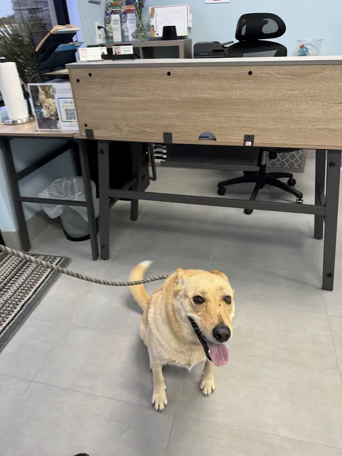 Alico Pet Vet 8