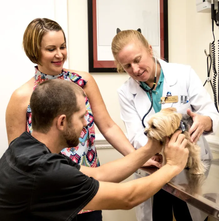 Town & Country Animal Hospital 12