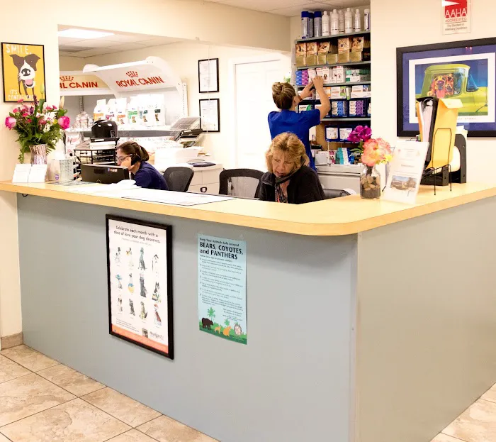 Town & Country Animal Hospital 12