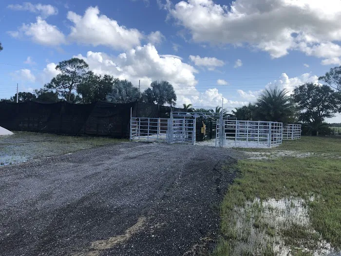 Midway Veterinary Hospital at Orange Avenue 12