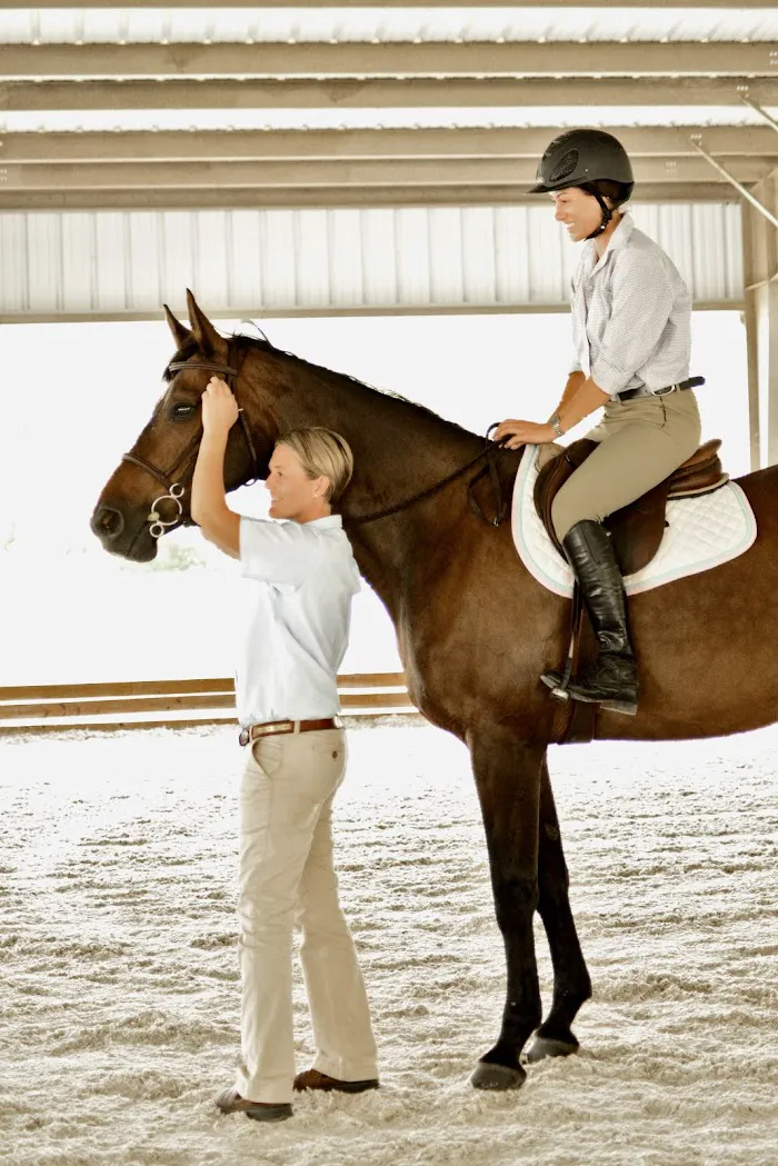 Harbour Ridge Equine 7