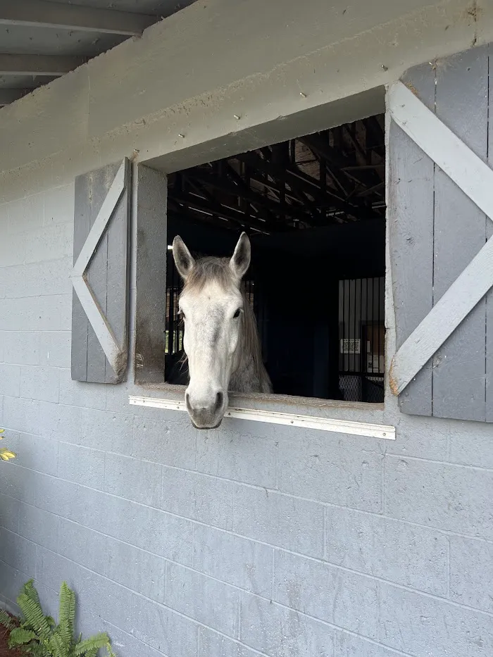 Harbour Ridge Equine 6